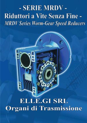 Worm Gear Reducer Catalogue – MRDV